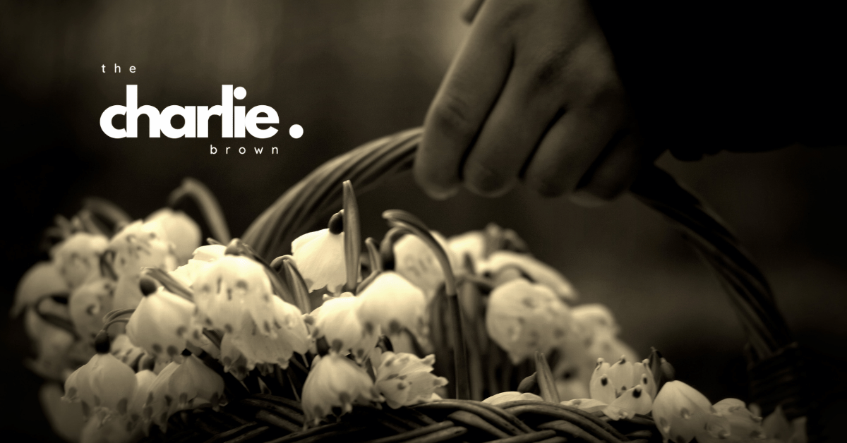 basket of white flowers