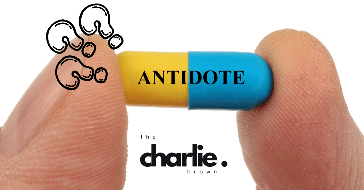 What If Wonder Is the Antidote to Cynicism?